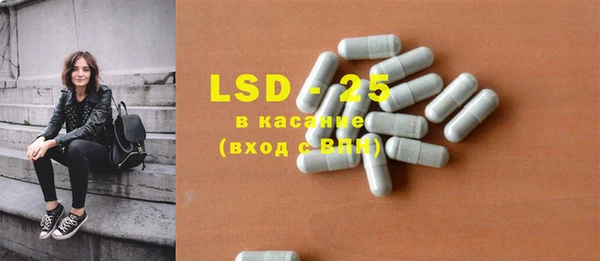 индика Абаза