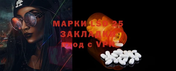 индика Абаза
