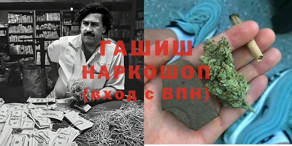 индика Абаза