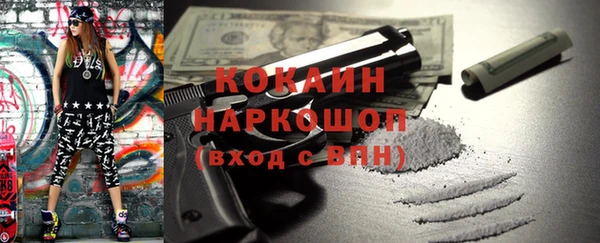 индика Абаза