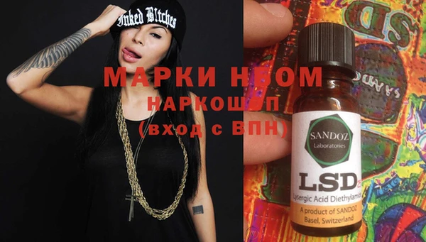 индика Абаза