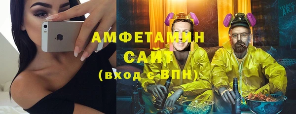 индика Абаза