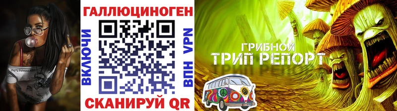 Галлюциногенные грибы Psilocybine cubensis  где можно купить наркотик  Златоуст 